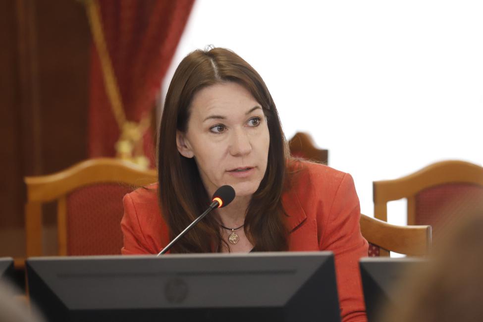 зампредседателя транспортного комитета парламента Елена Тырина (Фото: пресс-служба Заксобрания Новосибирской области)