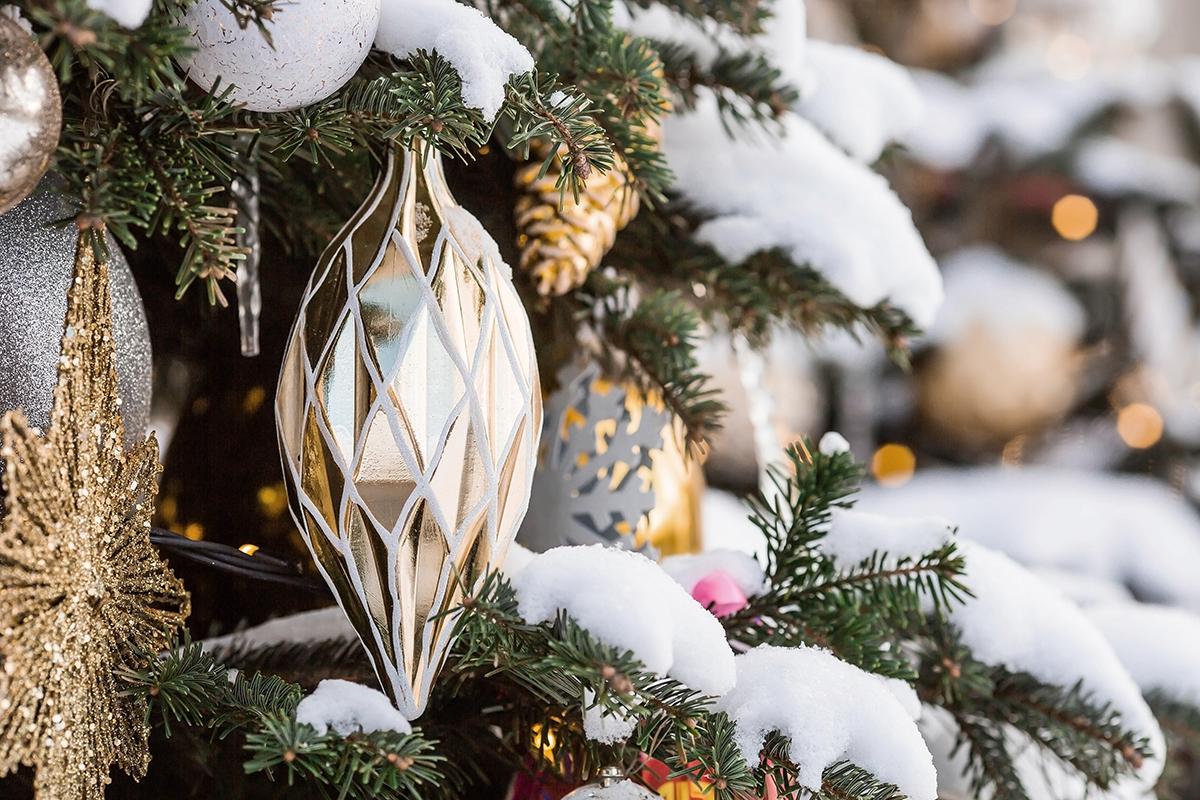 Фото: PhotoJuli86 / Shutterstock / FOTODOM