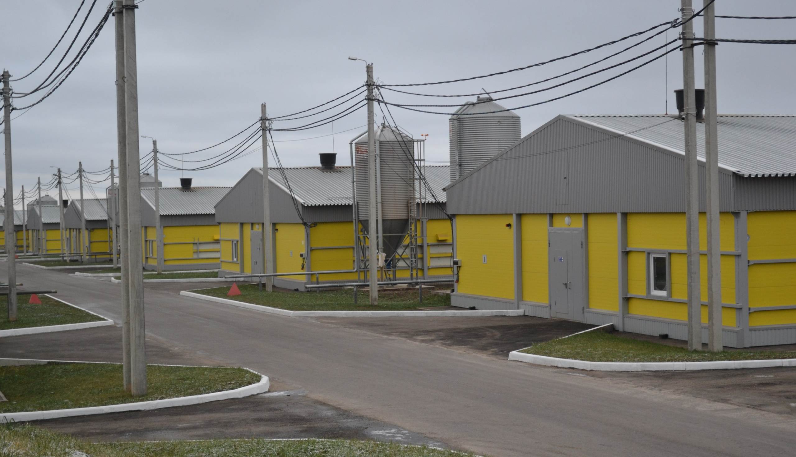 Фото: Агрохолдинг «Русское поле»