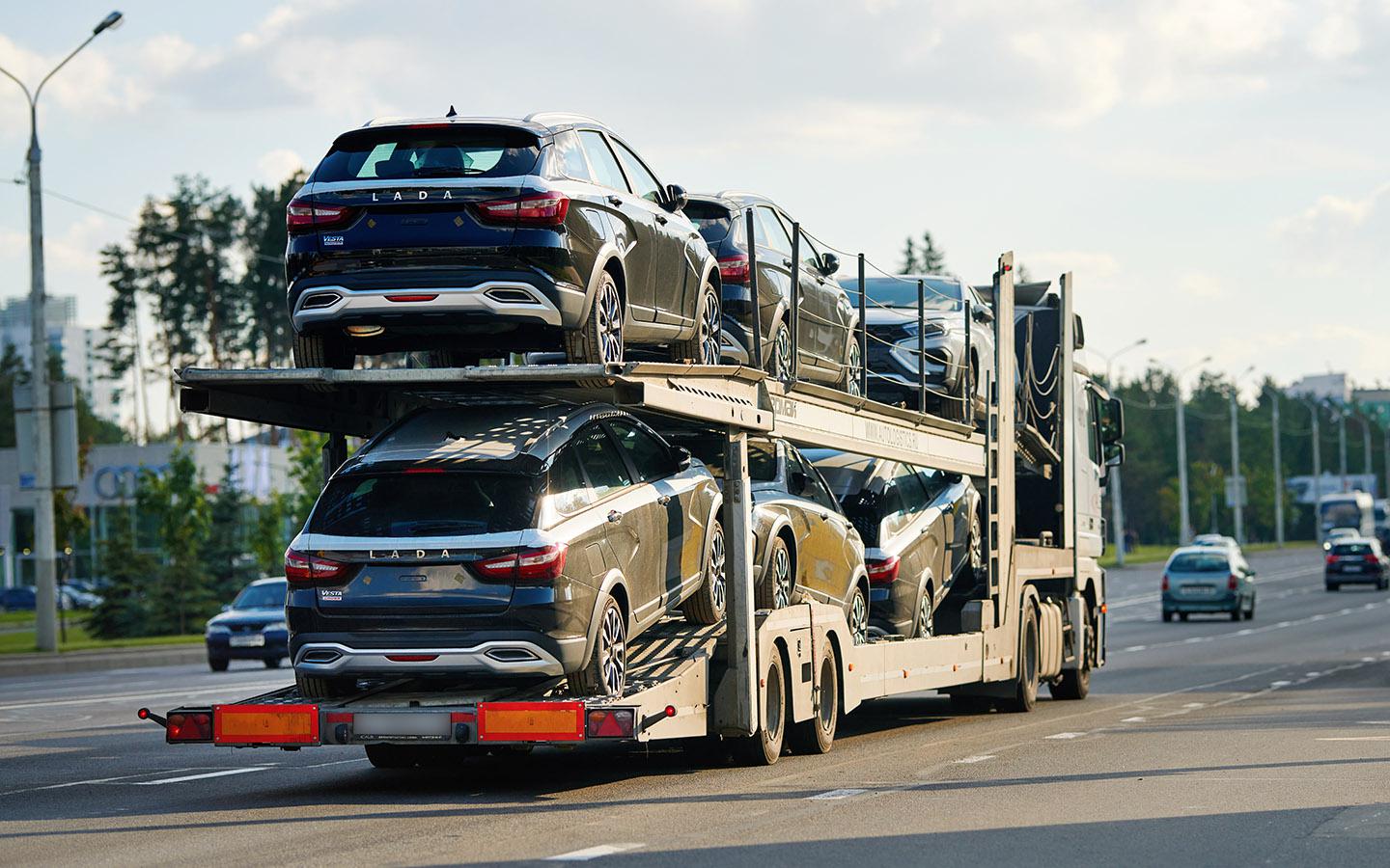 Фото: Tricky_Shark / Shutterstock / FOTODOM