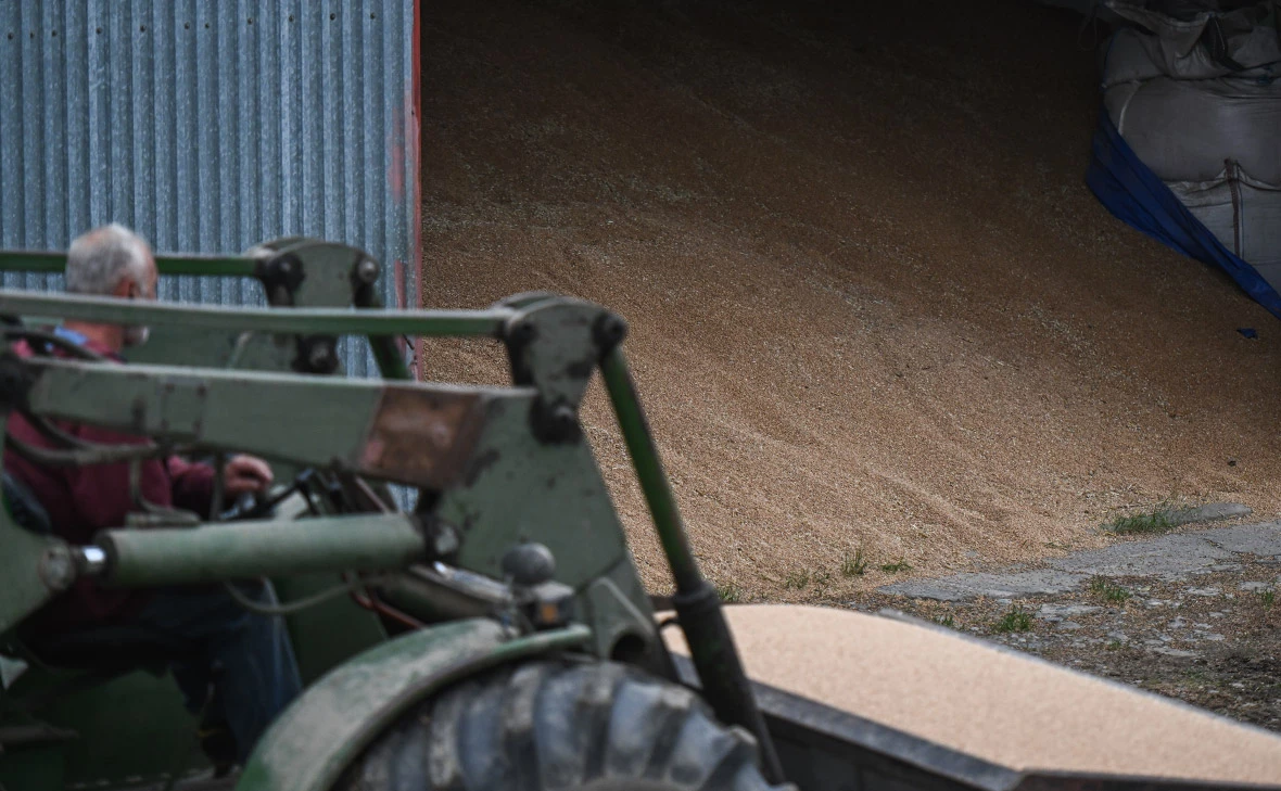  Omar Marques / Getty Images