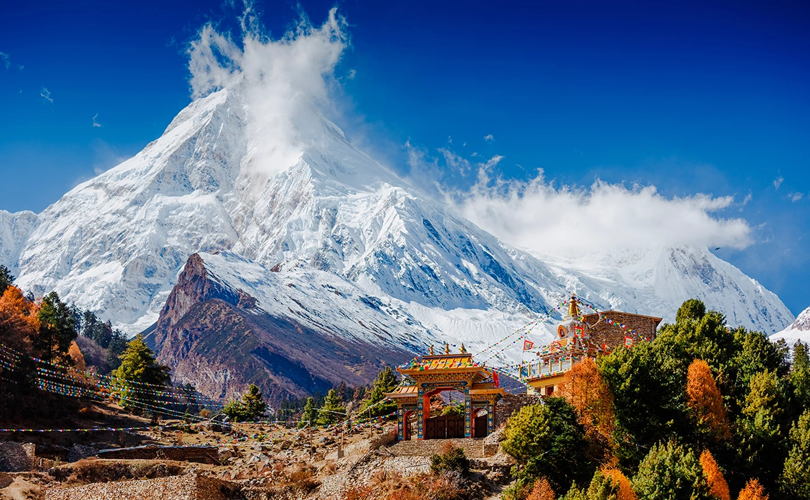 Olga Danylenko / Shutterstock