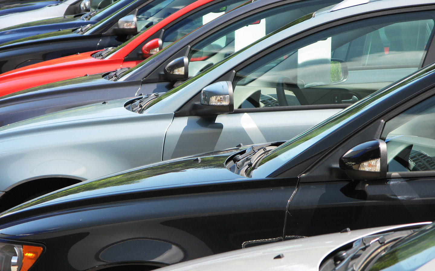 Фото: Alexander Chaikin / Shutterstock / FOTODOM