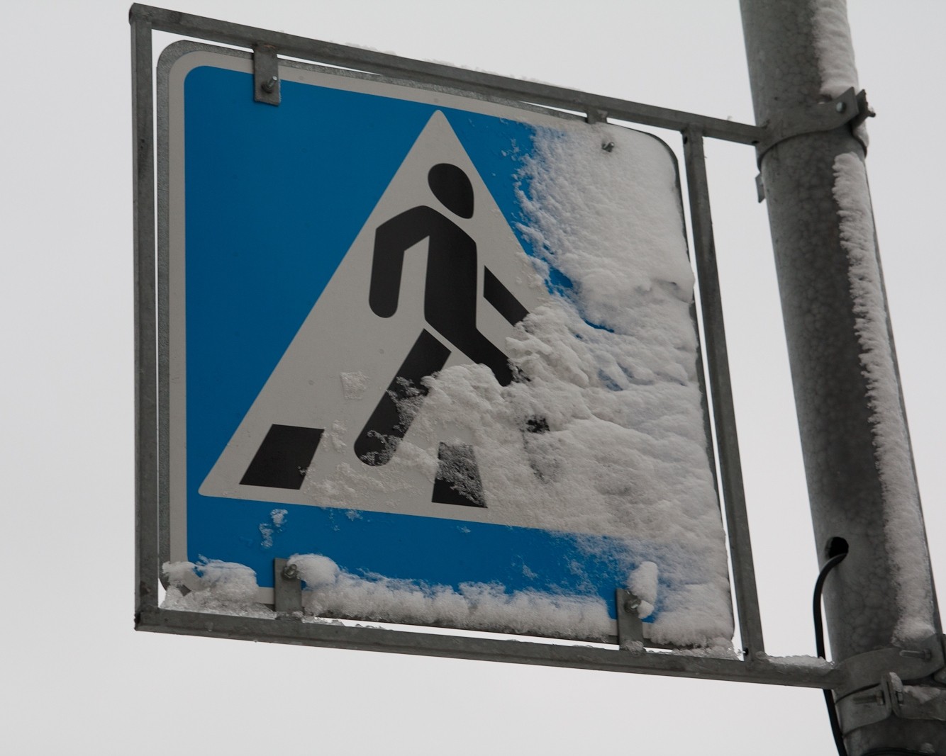 Петербургские сфетофоры и дорожные знаки обработают антивандальным покрытием