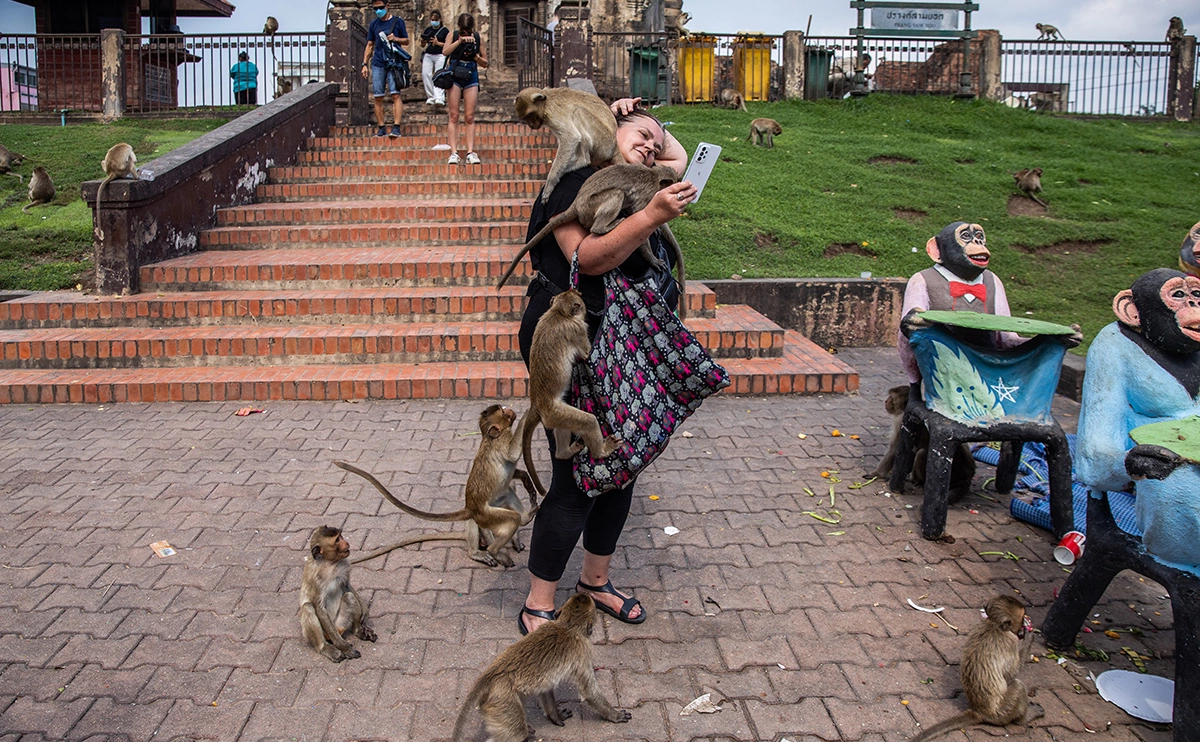 Lauren DeCicca / Getty Images