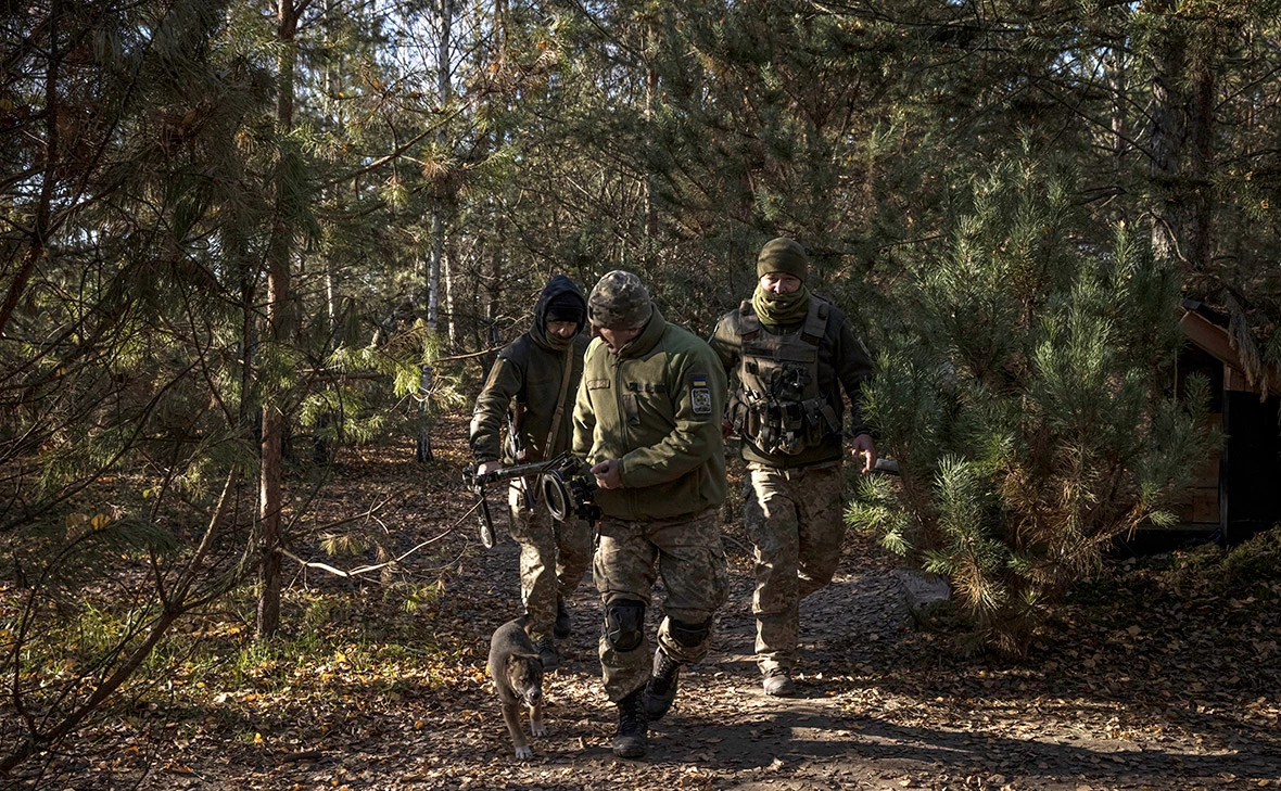  Ed Ram / Getty Images