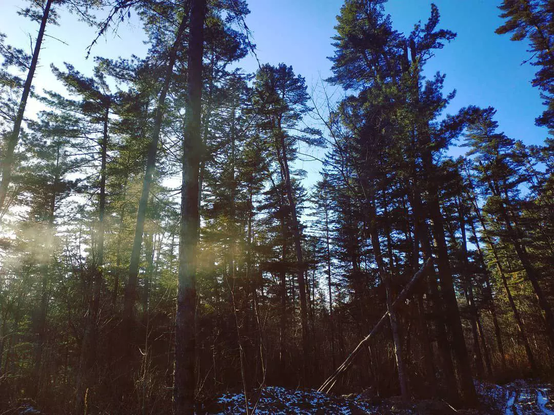 РБК Приморье