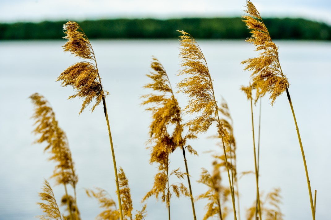 Фото: Вадим Ахметов / URA.RU