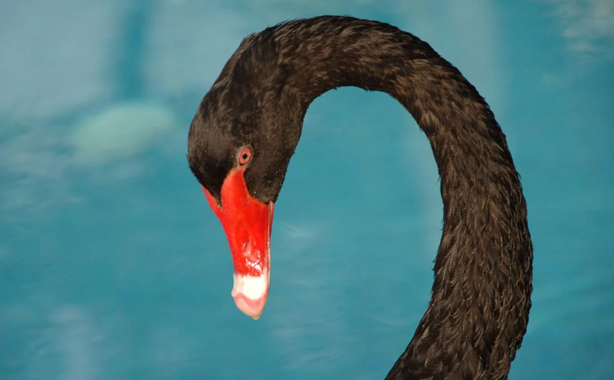 SuperStock / Global Look Press