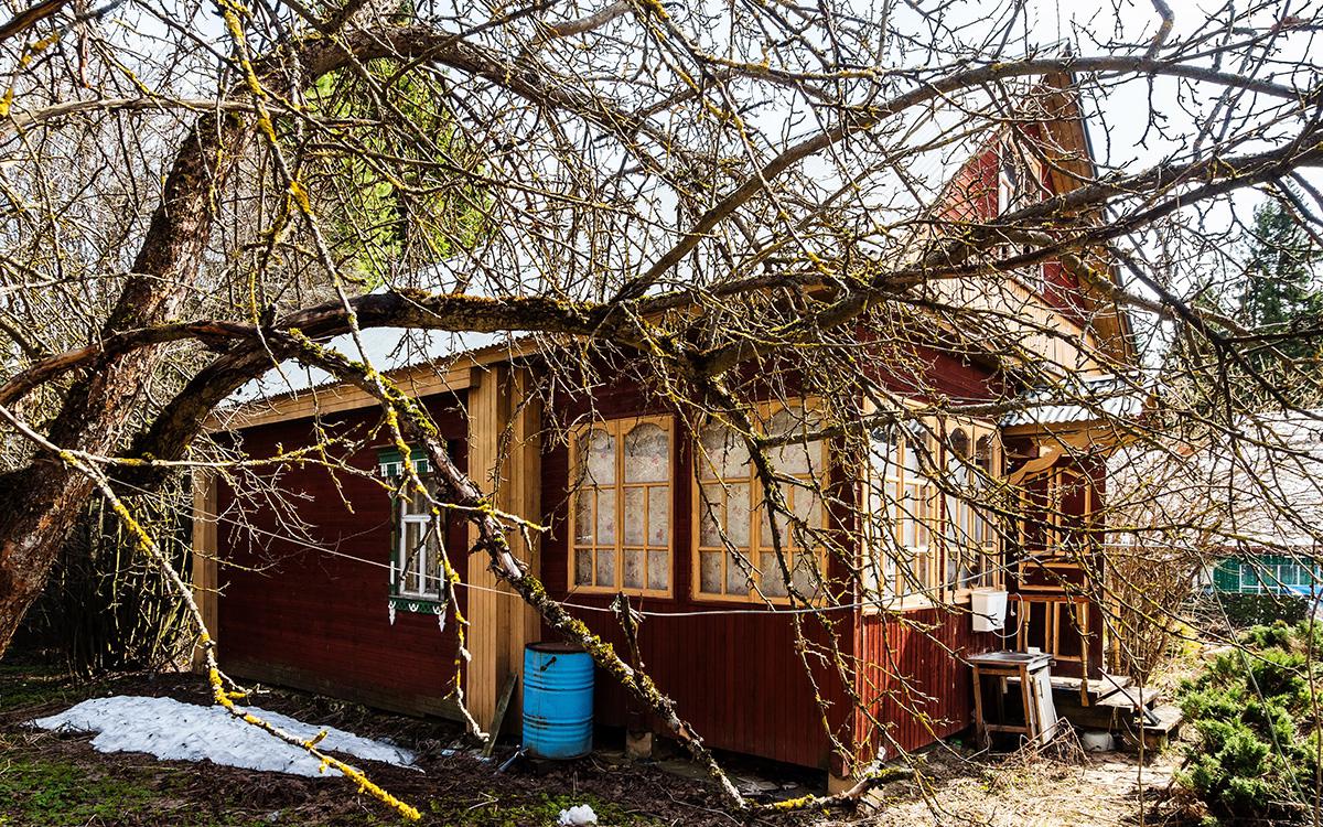 Фото: KrimKate / Shutterstock / FOTODOM