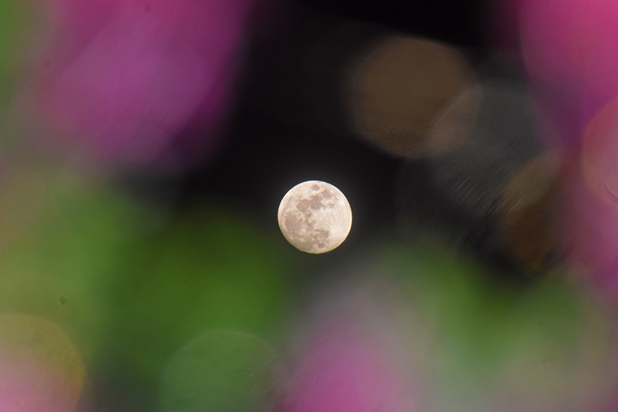 Danish Showkat / Keystone Press Agency / Global Look Press