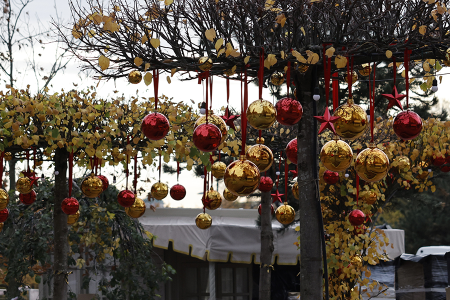 Андрей Любимов / РБК