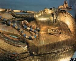 Археологи проверят подлинность египетских мумий