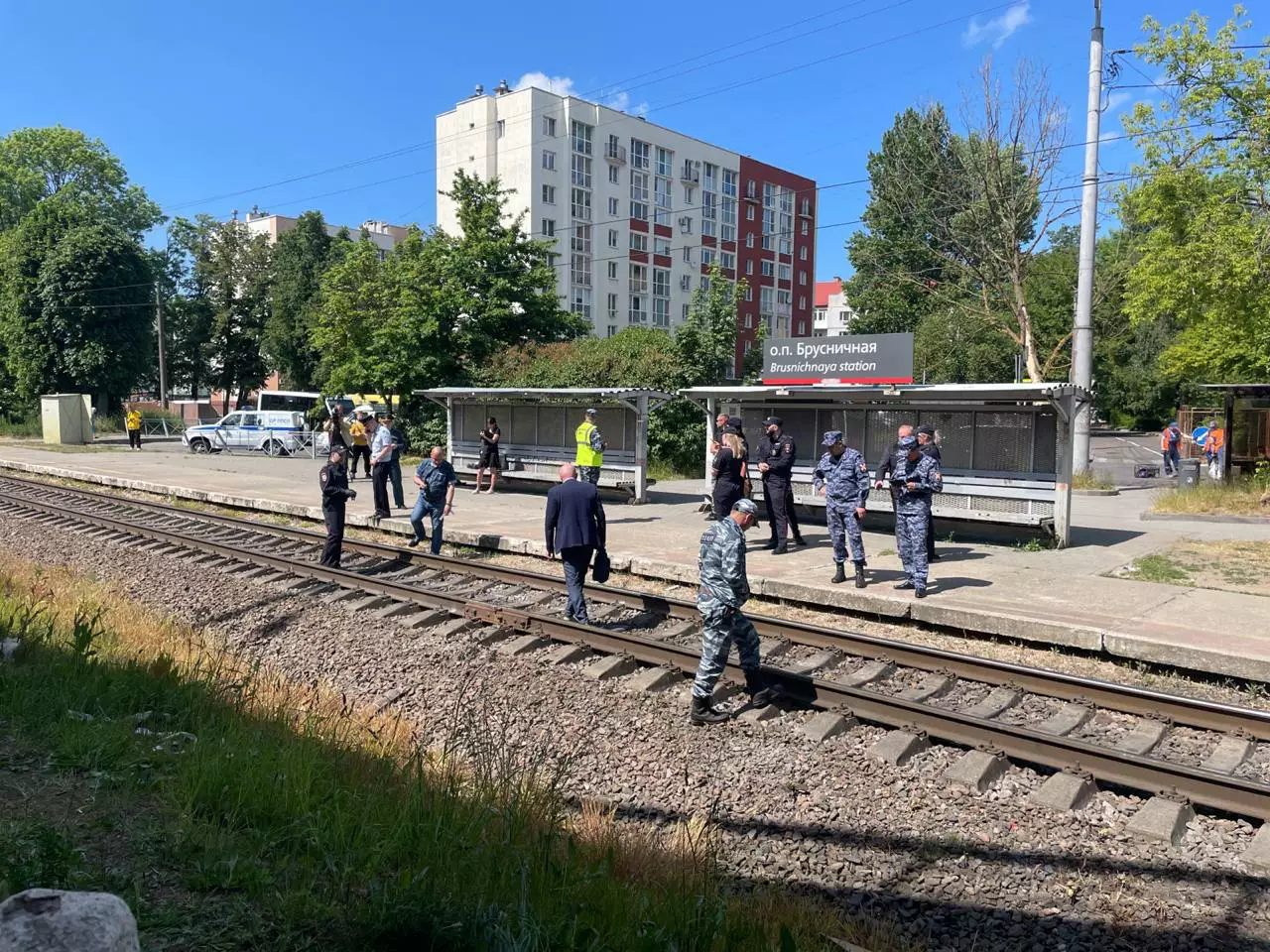 «Клопс»
