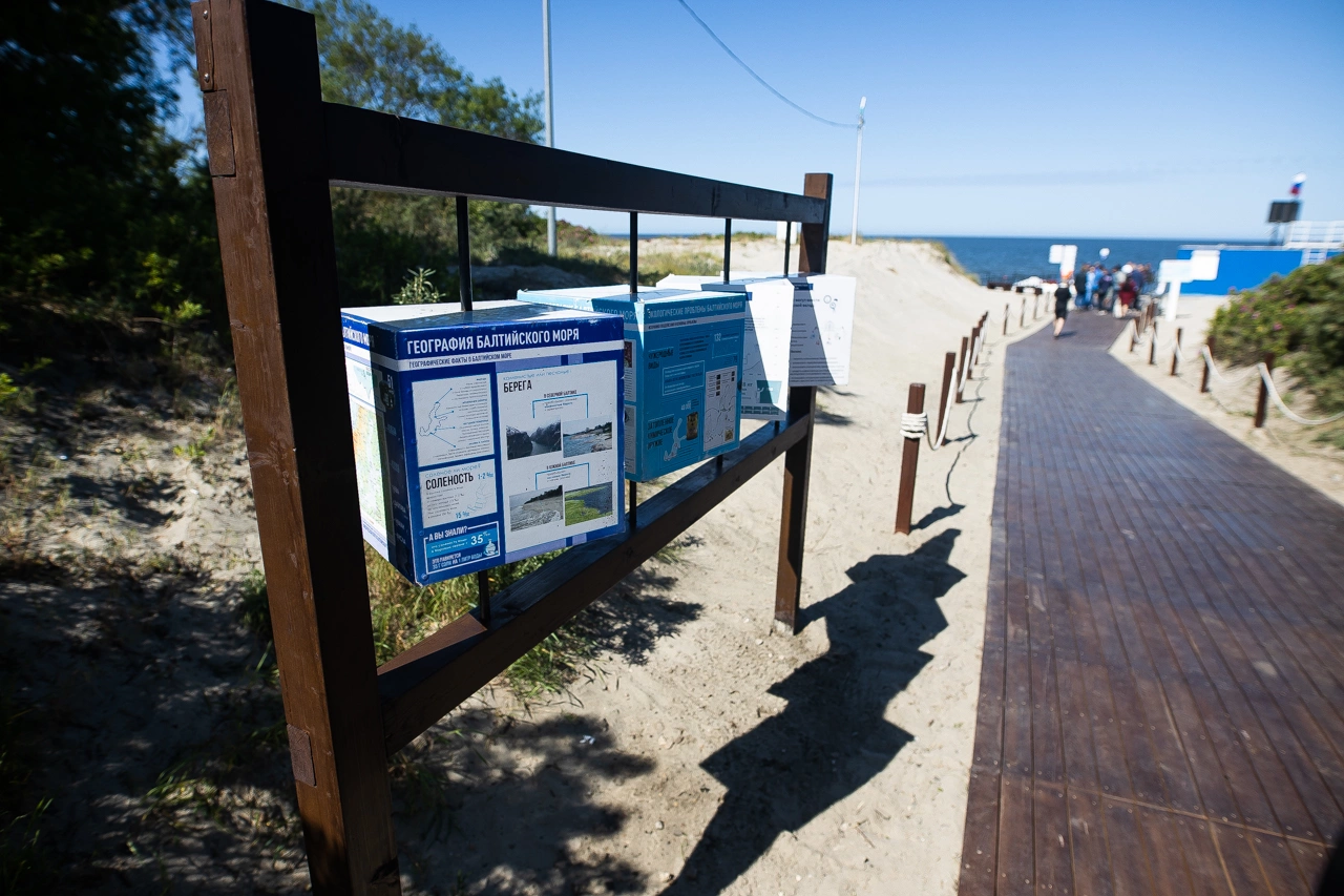 Александр Подгорчук