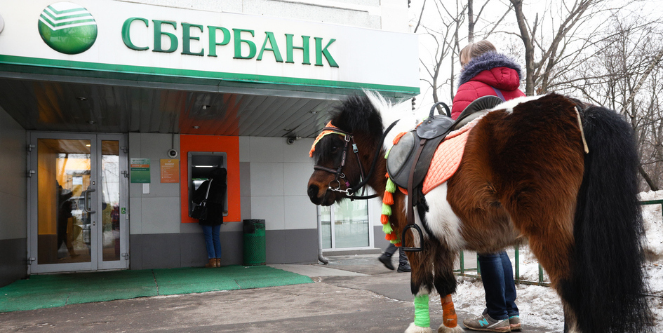 Сбербанк подтвердил. Сбербанк на конях. Лошадь Сбер. Собрание лошадей в Сбербанке. Три коня Сбербанк.