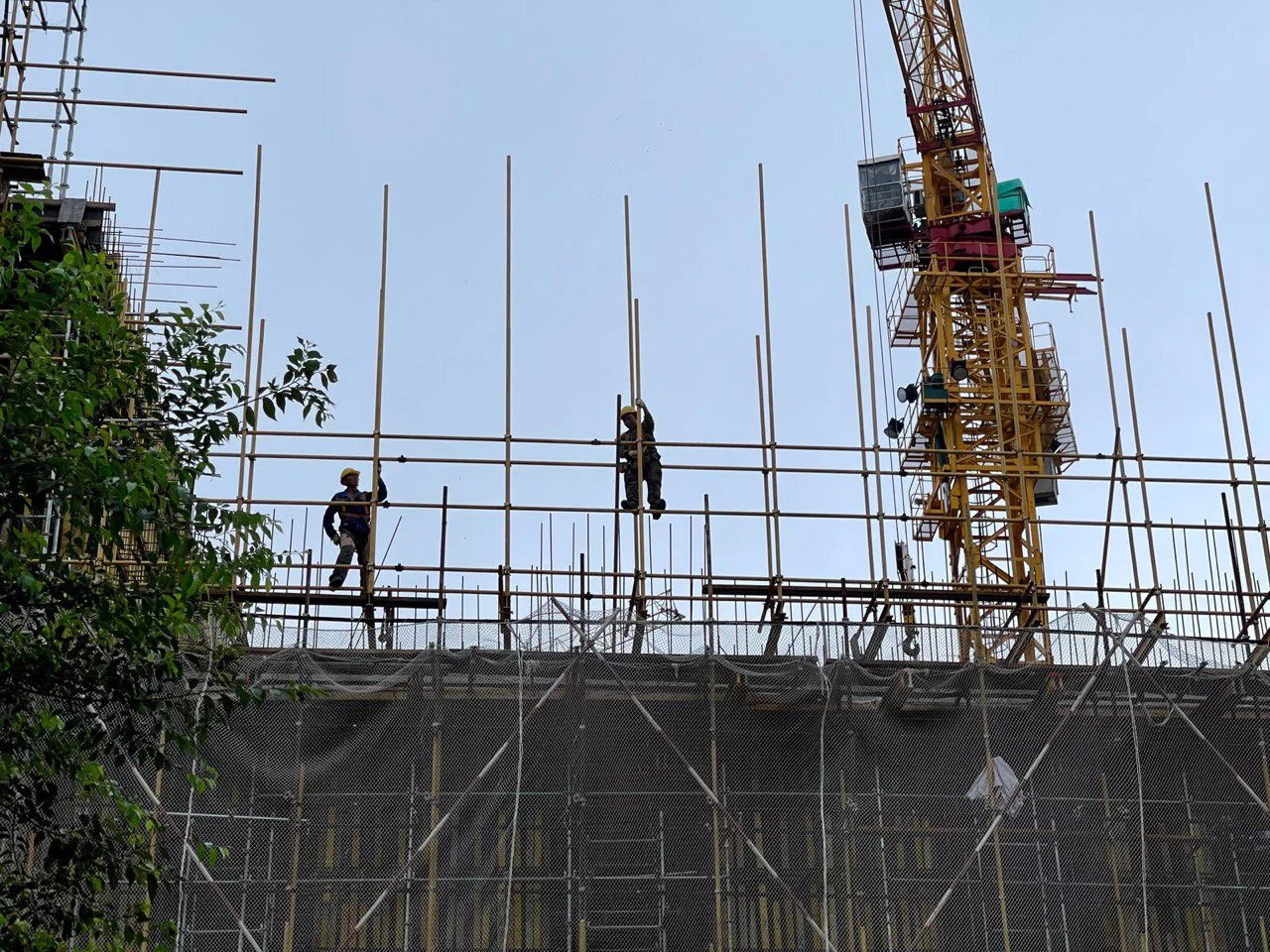 РБК Приморье