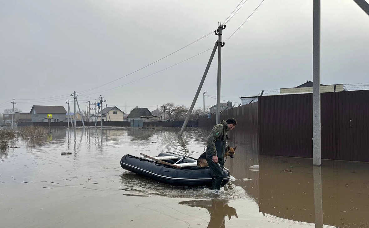 Мария Лисицына / РБК