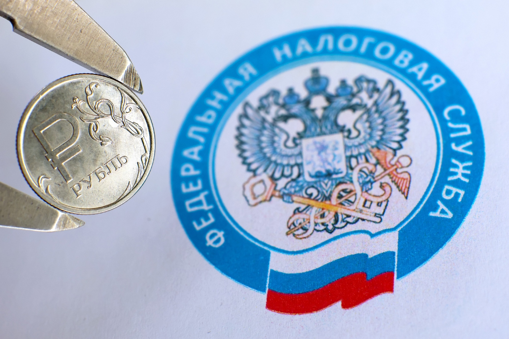 Фото: Тарасенков Александр/PhotoXPress.ru