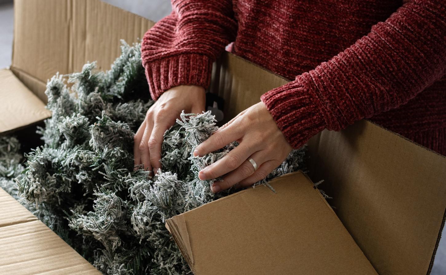 Фото: etorres / Shutterstock / FOTODOM