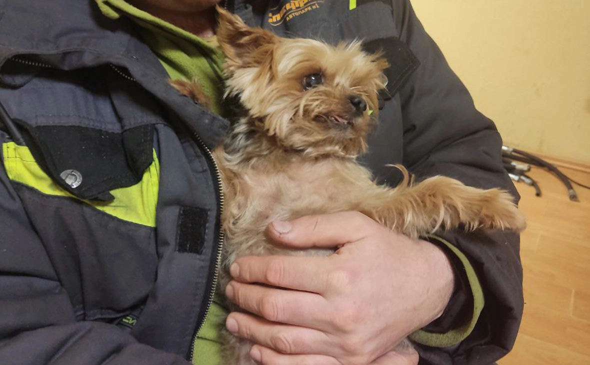 SpetsTrans1 / Telegram