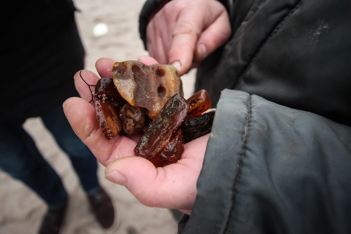 Александр Подгорчук