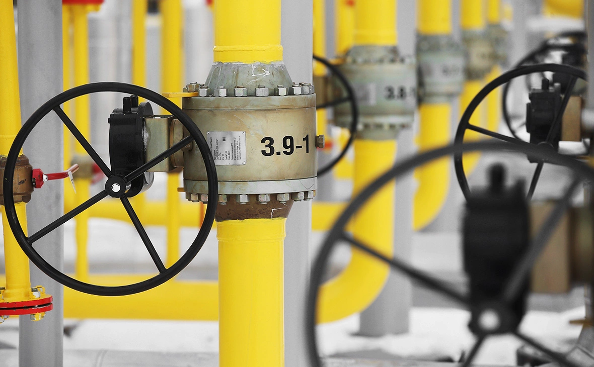 Егор Алеев / ТАСС