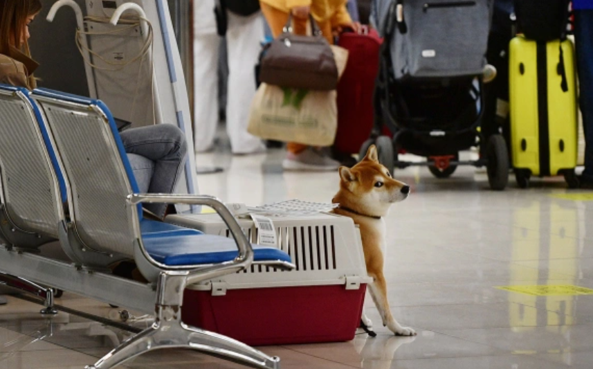 Павел Лисицын / РИА Новости