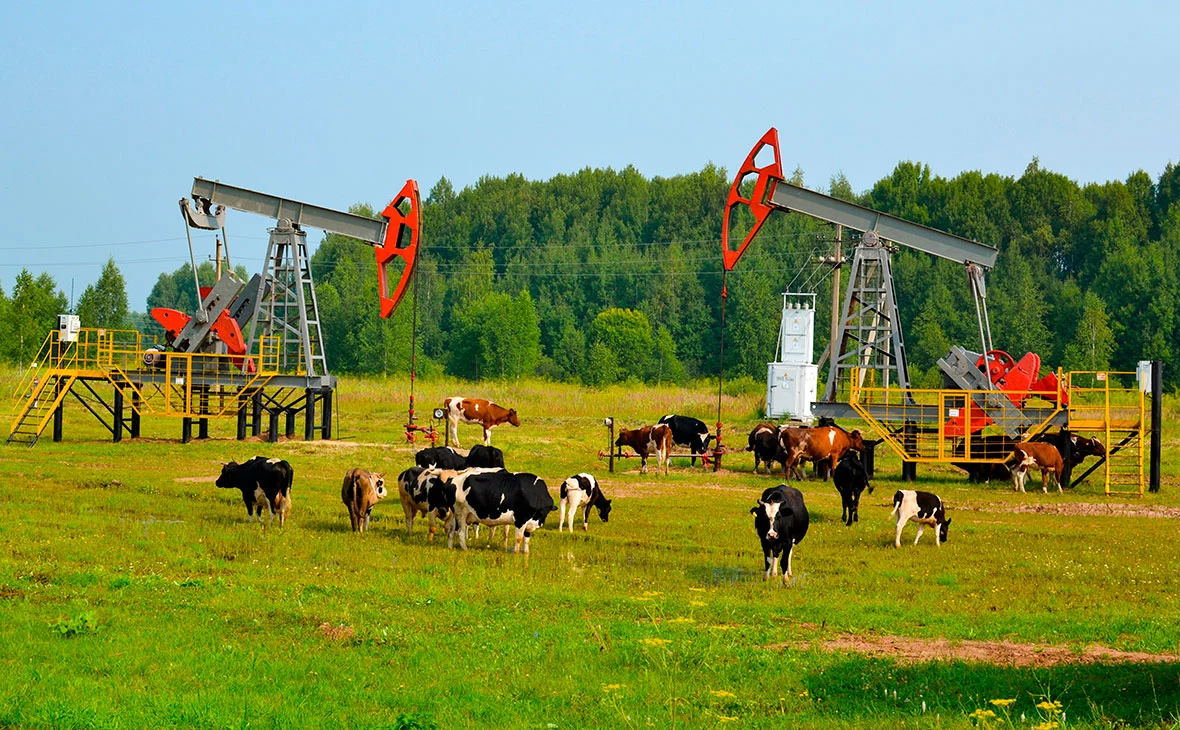 Лариса Руденко / Shutterstock