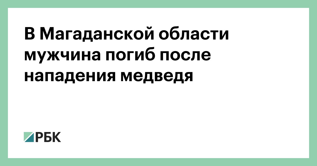 В Магаданской области мужчина погиб после нападения медведя