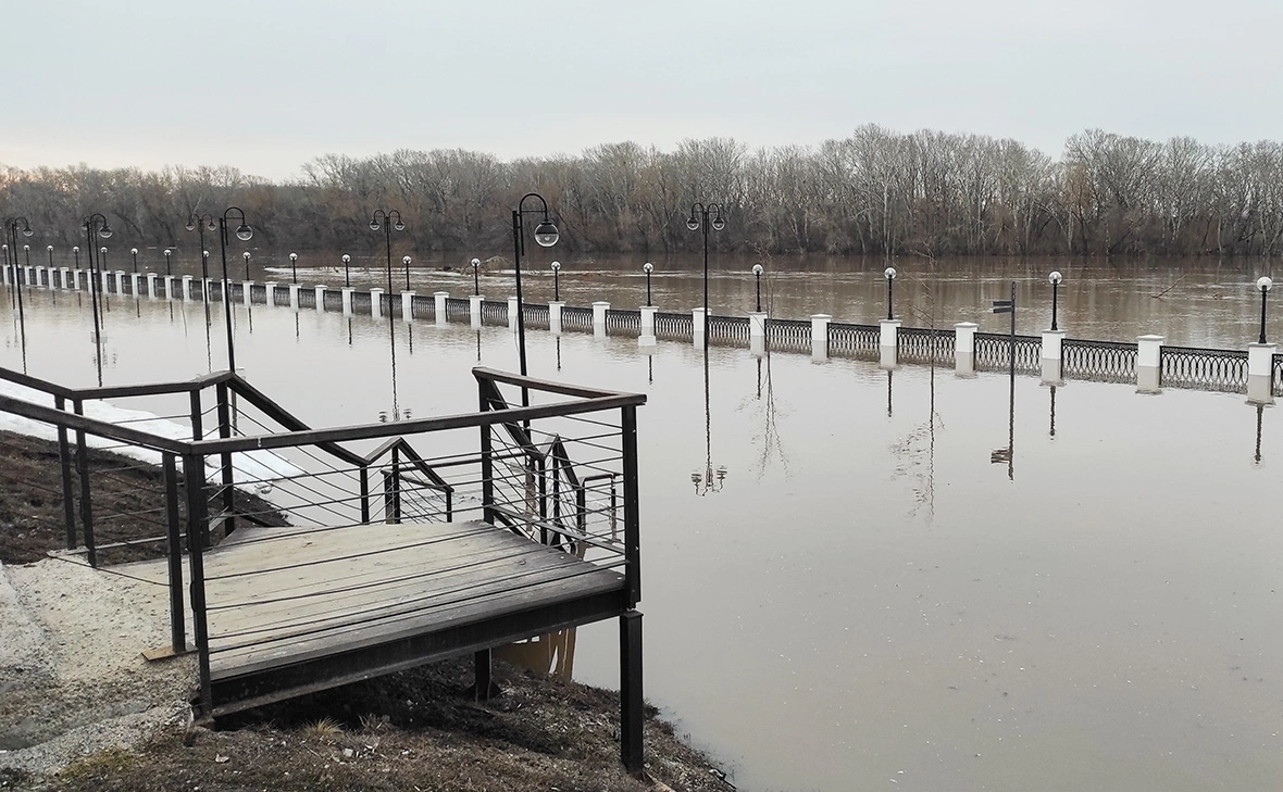 Сергей Медведев / ТАСС