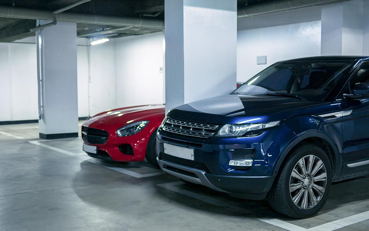 Фото: Photo_12312 / Shutterstock / FOTODOM