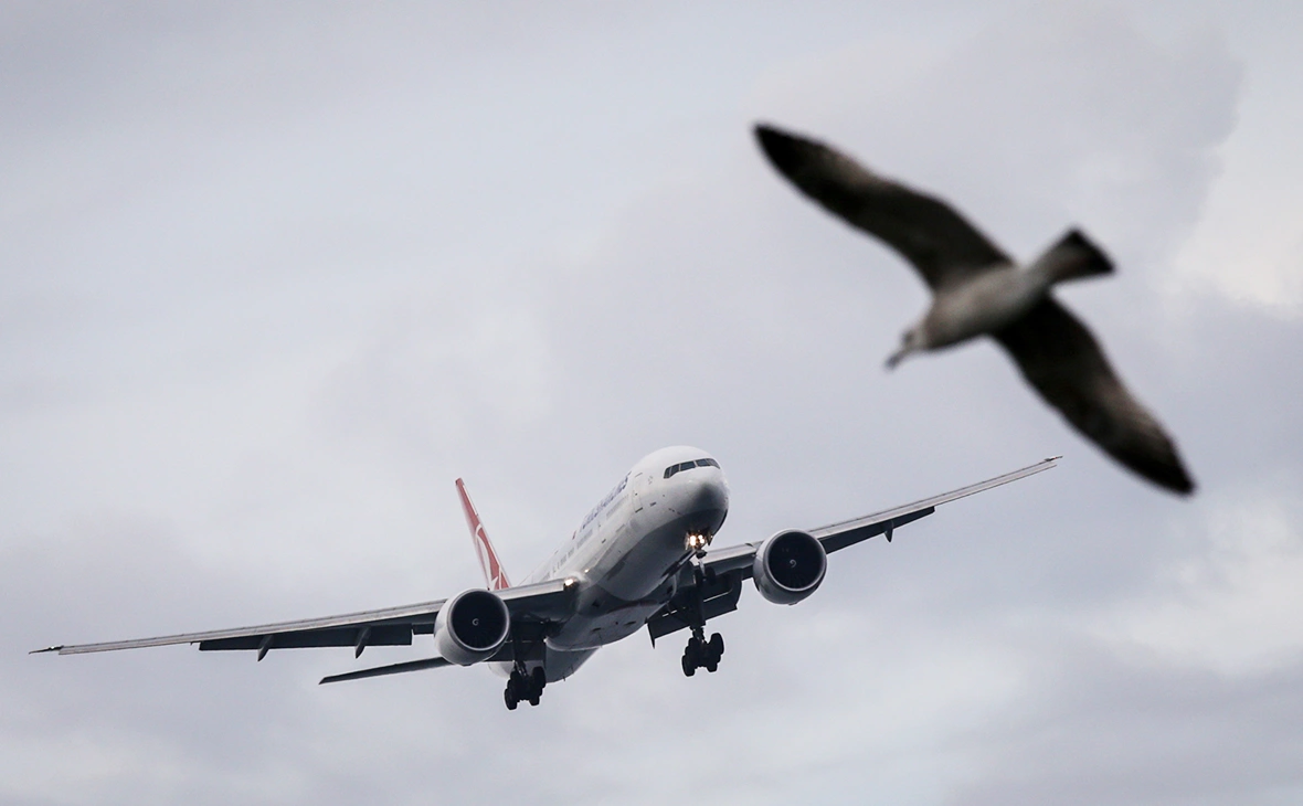 Леонид Фаерберг / Transport Photo Images / Global Look Press