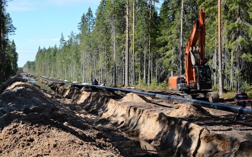 Фото: gov.karelia.ru