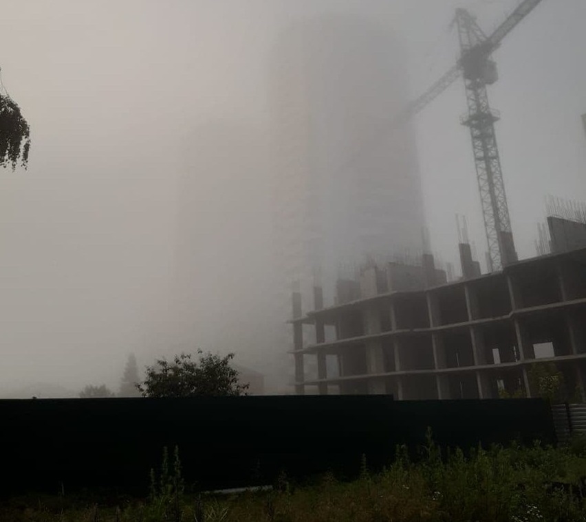 Фото: РБК Новосибирск