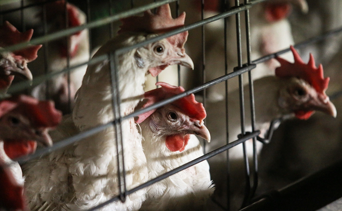 Денис Абрамов / ТАСС