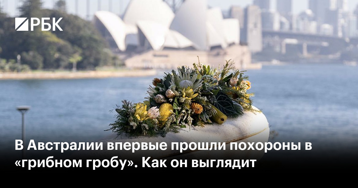 В Австралии впервые прошли похороны в «грибном гробу». Как он выглядит