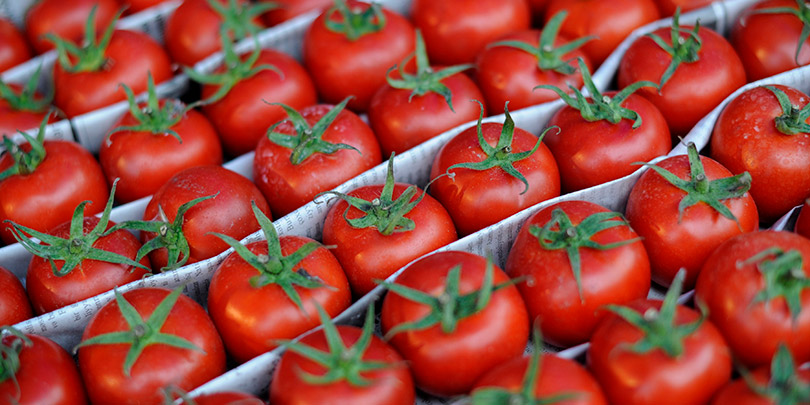 Россельхознадзор заподозрил Белоруссию в реэкспорте турецких томатов