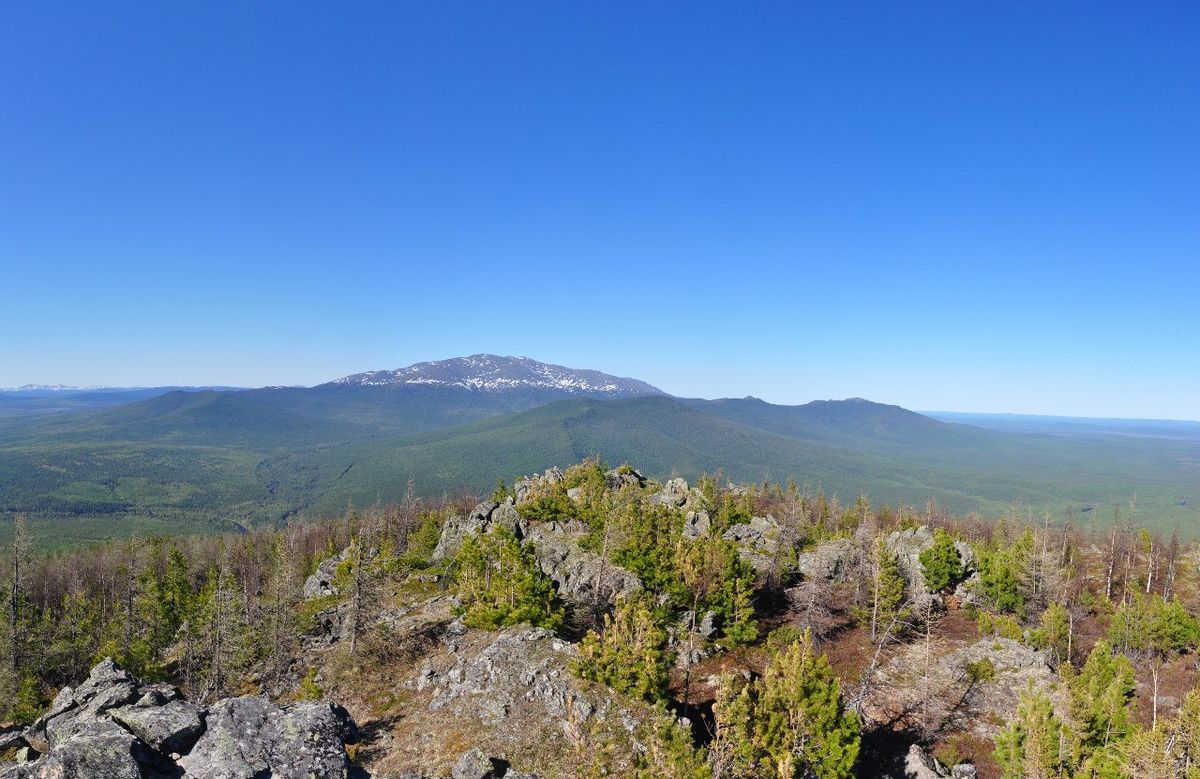 Вид на Денежкин камень с горы Лысой, 2015 год.