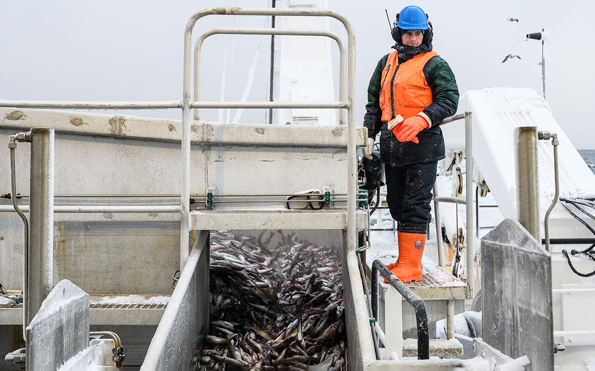 Власти откажутся от цели по потреблению рыбы в 25 кг на человека в год