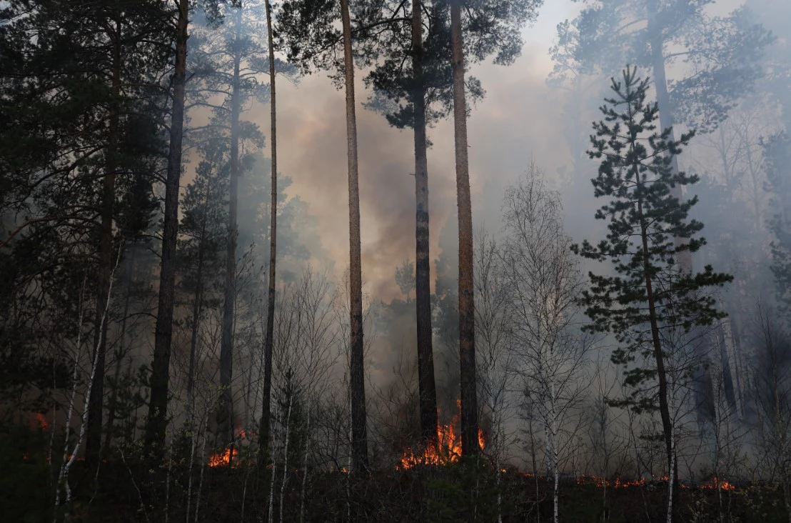 Екатерина Сычкова / URA.RU 