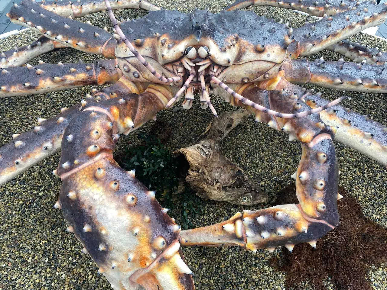 РБК Приморье