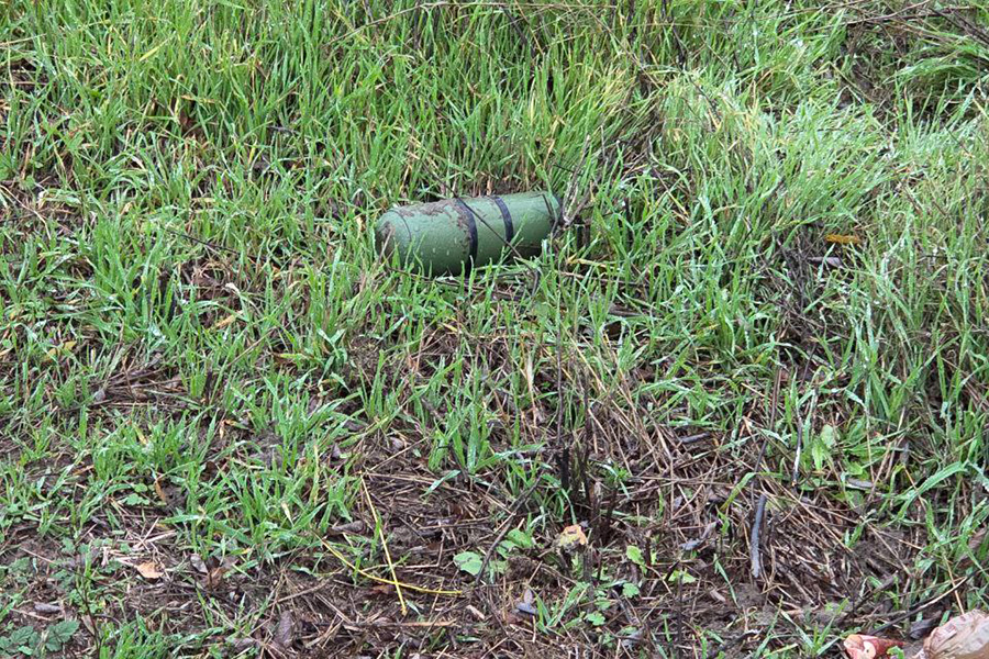 Фото: SALDO_VGA / Telegram