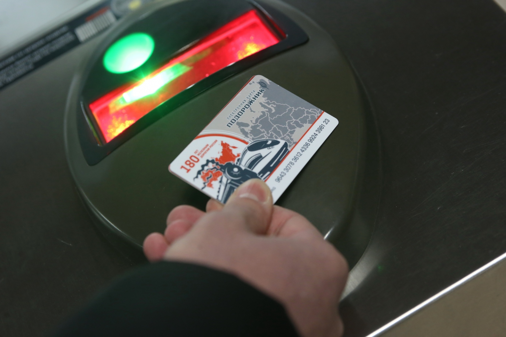 Фото: Холявчук Светлана / PhotoXPress.ru