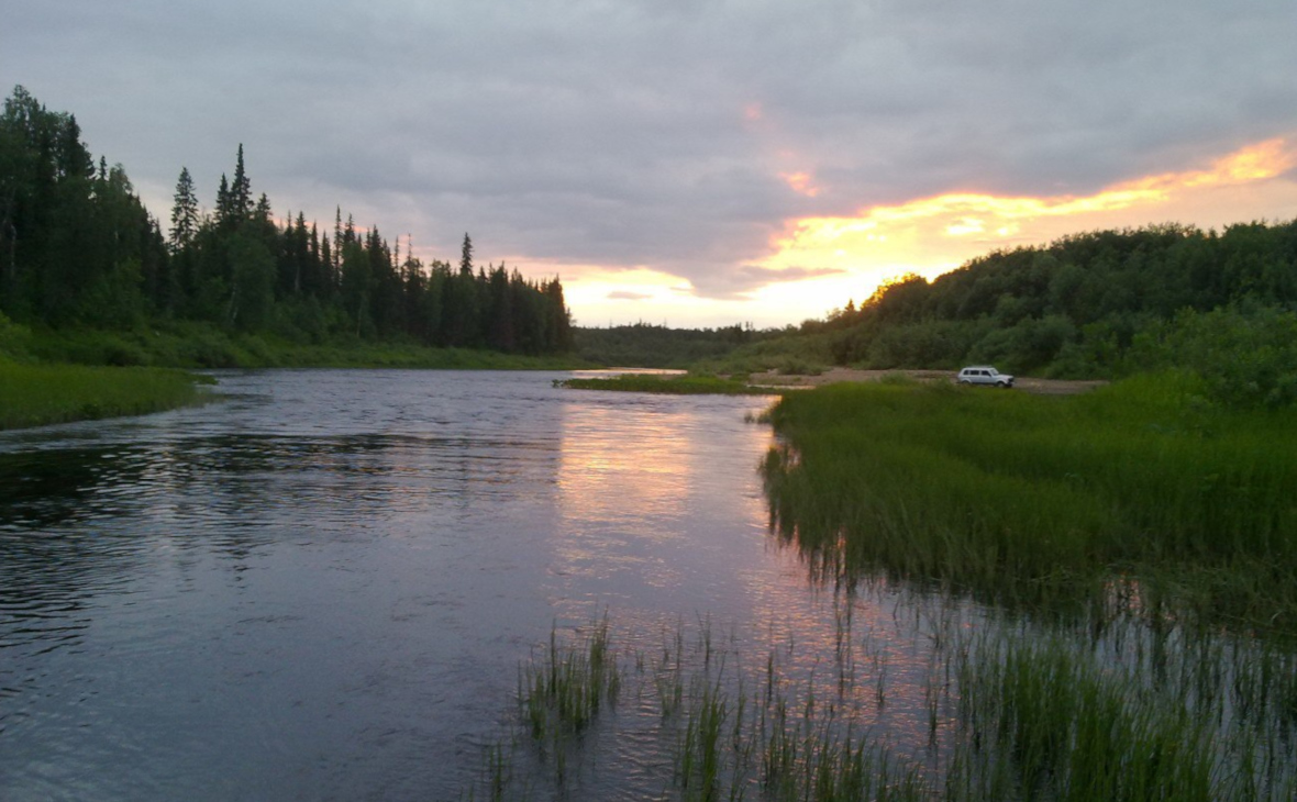 Фото: РБК Черноземье