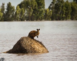 От наводнения в Австралии пострадали 200 тыс. человек