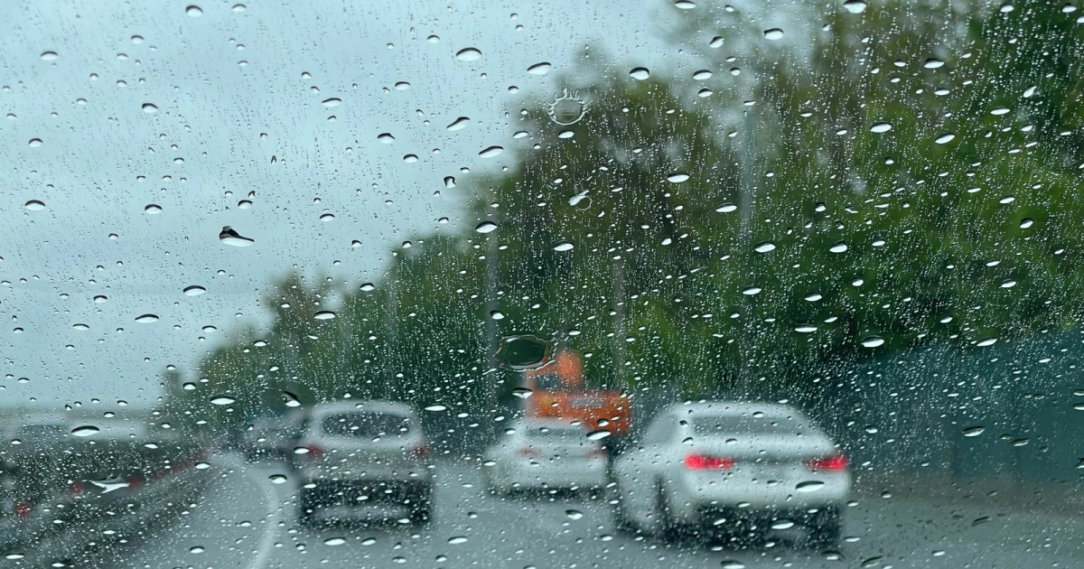 РБК Приморье