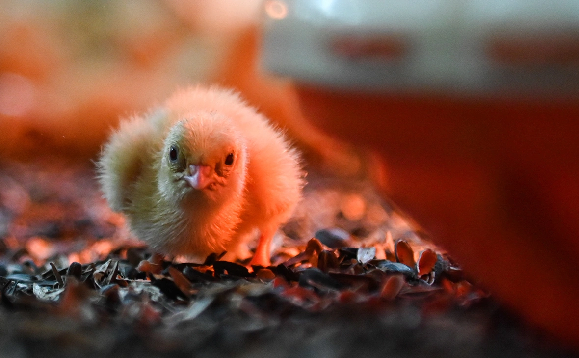 Игорь Онучин / ТАСС