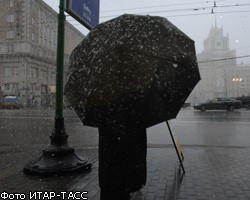 В центре Москвы ветром поваленное дерево насмерть задавило мужчину
