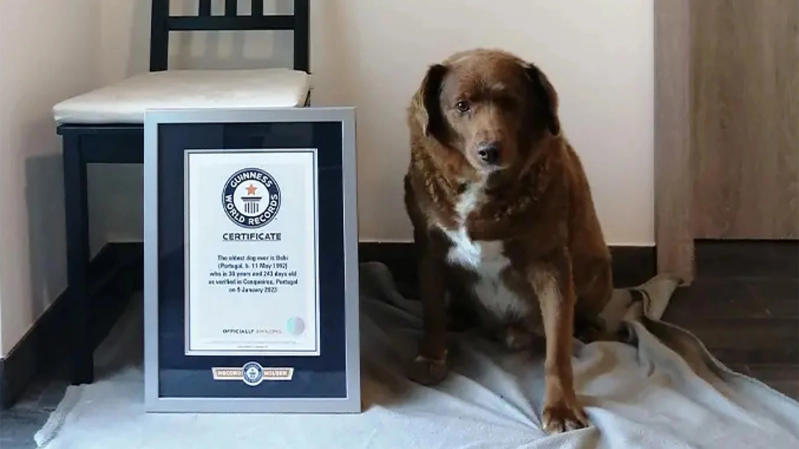 Guinness World Records / Youtube